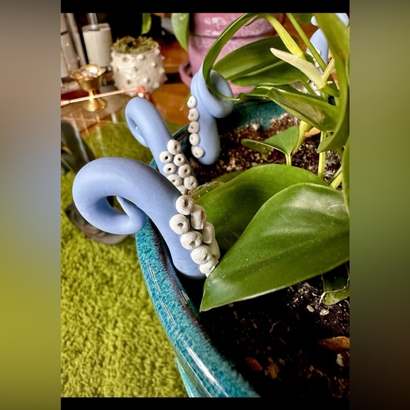 8 Baby Blue Sea Creature Tentacles 🦑Decor Tentacle Unique Modern Indoor Plant - Picture 7 of 10
